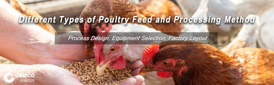 How to classify poultry feed types