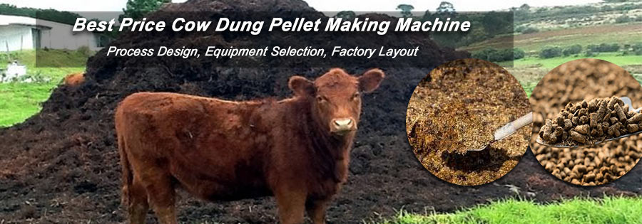 cattle manure pellet machine in fertilizer plant