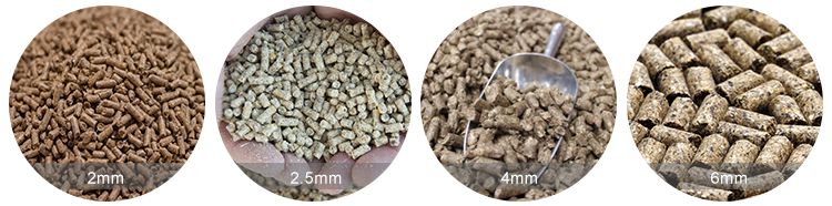 Different Animal Feed Pellets