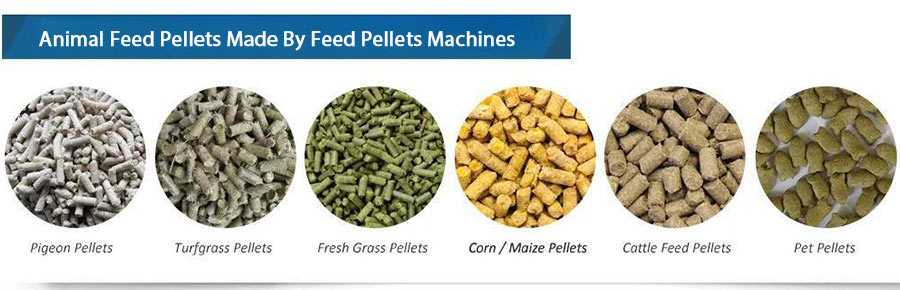 Make Feed Pellets for Your Animal with GEMCO Feed Pellet Mill