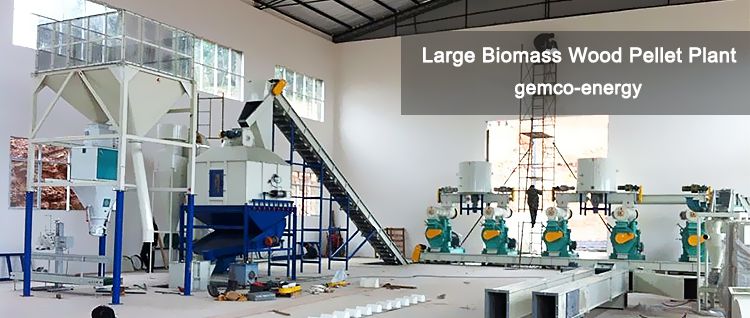 Global TOP 10 Wood Pellet Machine Plant Manufacturers – Choose the Right  One for Your Biomass Pellet Manufacturing Business