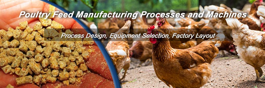 poultry feed manufacturing business plan