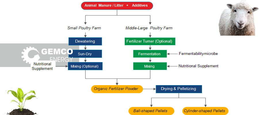 sheep manure fertilizer production step