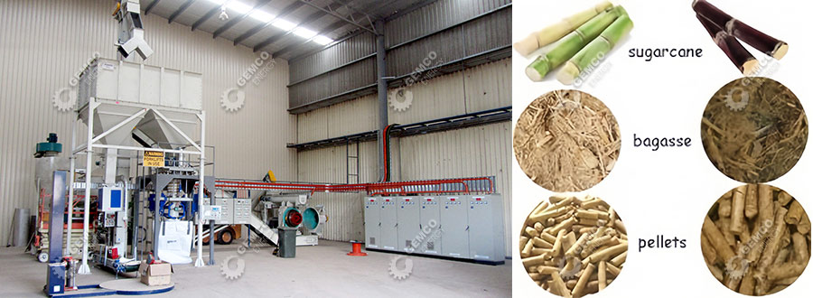 Sugarcane bagasse pellet manufacturing process